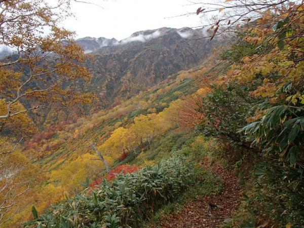紅葉は登山口から8合目位まで見頃でした。